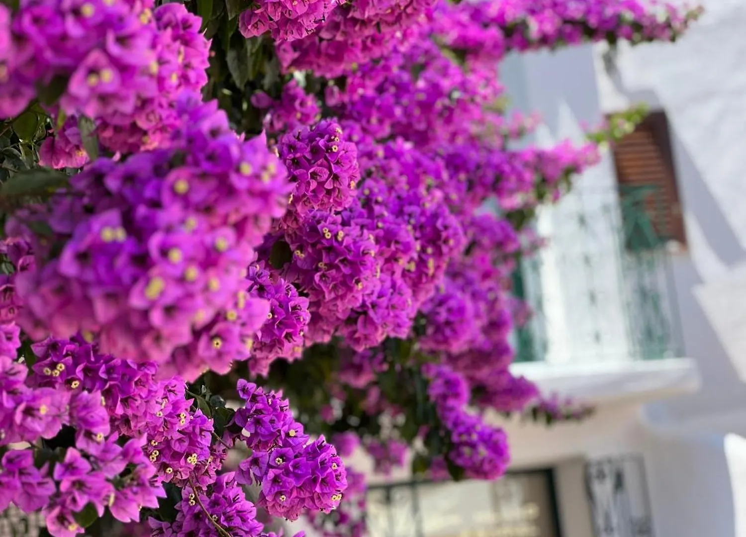 ***  Boutique Hotel Solaz Porto Rafael Olaszország